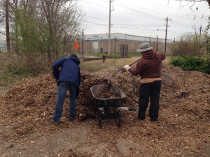 loading wheelbarrow with mulch